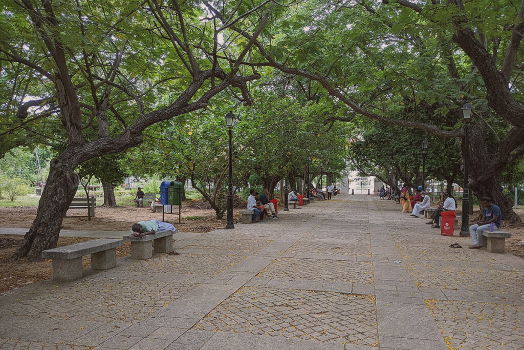 A wide pathway in Bharathi Park, Puducherry, is lined with large, leafy trees that provide shade. Benches are placed along the path, and some people are sitting and relaxing. The ground is covered with stone pavers, and fallen yellow flowers are scattered on the surface. The Aayi Mandapam monument is visible at the far end of the path.